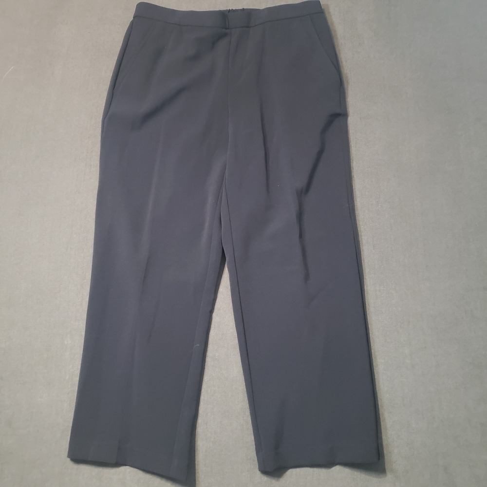 Sag Harbor Pull On Pants Womens‎ 10P Navy Blue Stretch Petite 2481EN1KH